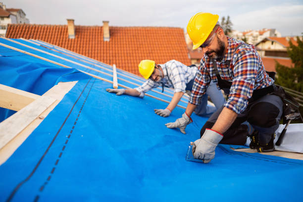 Best Roof Leak Repair  in New Concord, OH