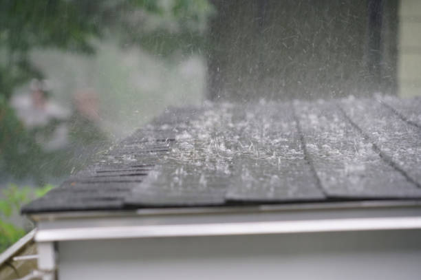 Best Solar Panel Roofing Installation  in New Concord, OH